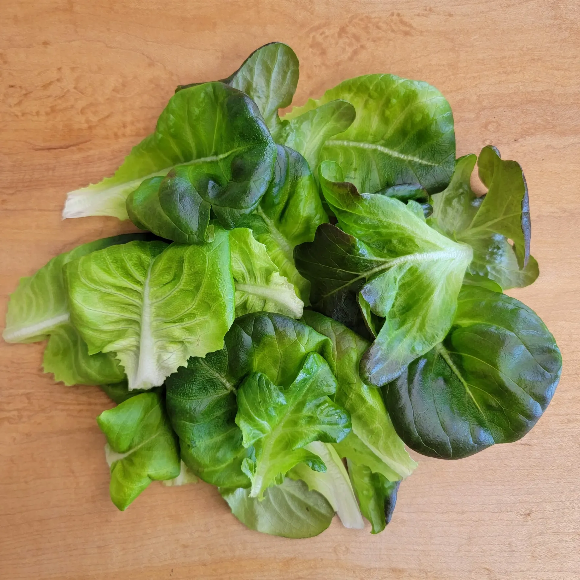 Heirloom Lettuce 5oz